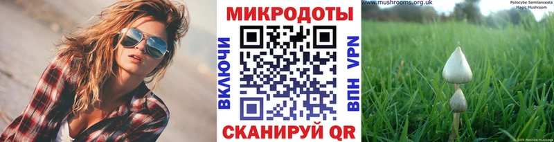 KRAKEN как зайти  Бодайбо  Галлюциногенные грибы MAGIC MUSHROOMS 